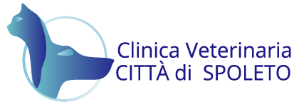 Clinica Veterinaria Città di spoleto